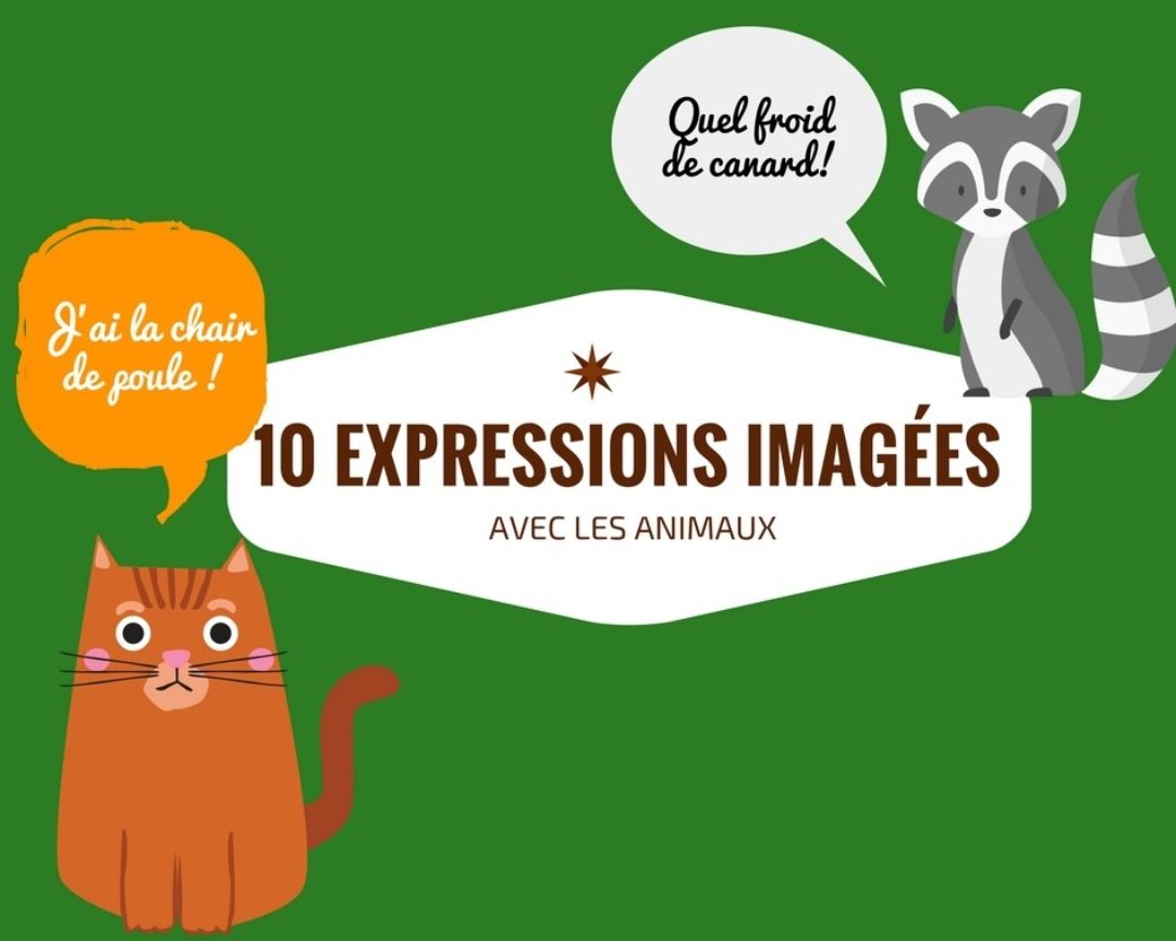 10 expressions imagées avec les animaux